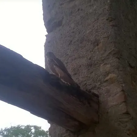 Cascina Carrata Casa Vacanze *