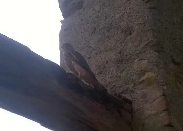 Cascina Carrata Casa Vacanze *